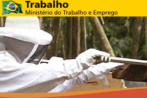Imagem Divulgação