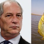 Unificação progressista segue sem Ciro Gomes que morre como peixe “pela boca” pelas besteiras que fala