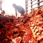 A miséria de Bolsonaro: fila da fome para pegar ossos no açougue é marco histórico