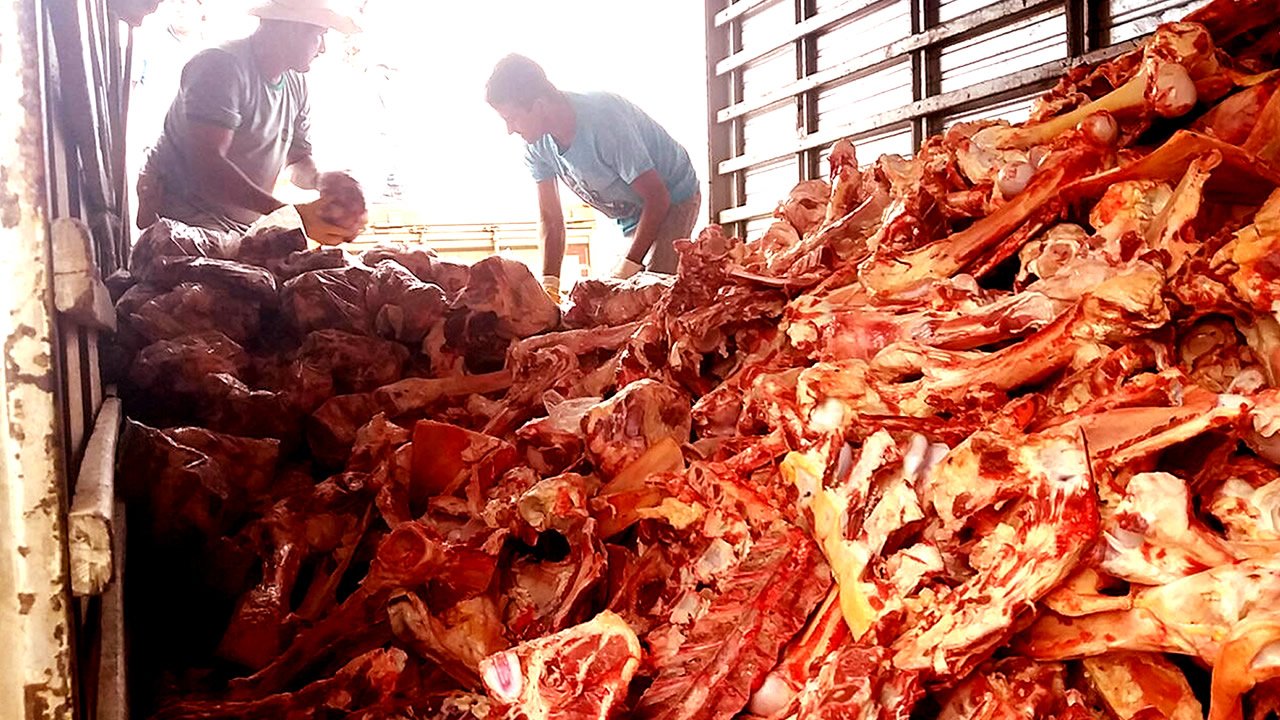 A miséria de Bolsonaro: fila da fome para pegar ossos no açougue é marco histórico A miséria de Bolsonaro: fila da fome para pegar ossos no açougue é marco histórico